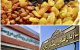آغاز خرید توافقی محصول کشمش تولیدی مازاد کشاورزان شهرستان مروست
