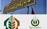 شناسنامه دار کردن باغات استان یزد شناسنامه دار کردن باغات استان یزد
