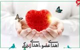 رتبه نخست یزد در اهدای عضو