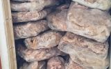 پلمب یک مرکز بسته بندی مرغ در شهرستان یزد پلمب یک مرکز بسته بندی مرغ در شهرستان یزد