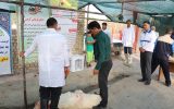 بازدید از قربانگاهها و کشتارگاه ها توسط مدیر کل دامپزشکی استان یزد در روز عید قربان. بازدید از قربانگاهها و کشتارگاه ها توسط مدیر کل دامپزشکی استان یزد در روز عید قربان.
