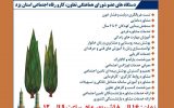 سومین رویداد جهادی «زنان، سلامت خانواده، تعالی جامعه» هم‌زمان با هفته تعاون در یزد برگزار می‌شود