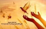 آزادی ۲۸۷ زندانی غیرعمد در ۱۱ ماهه سال ۱۴۰۴